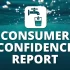 Consumer Confidence Report